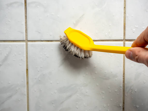 Best Mold Removal Company Near Me  in Plum, PA
